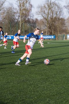 Bild 364 - wBJ Hamburger SV - Hertha BSC : Ergebnis: 2:1